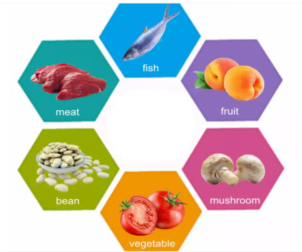 application application